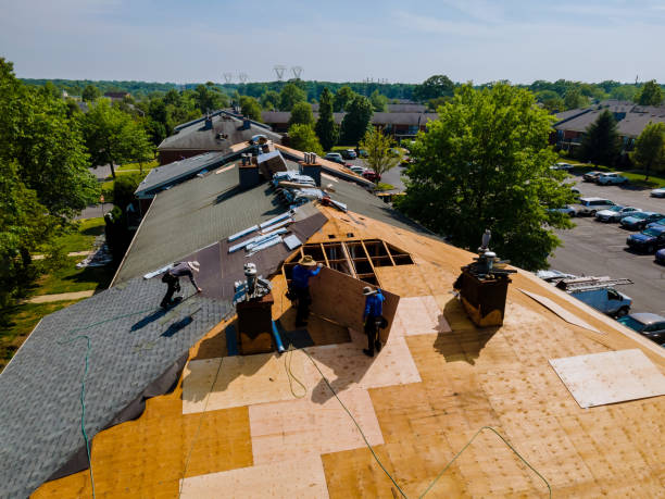 Best Flat Roof Repair Services  in Fredericktown, MO